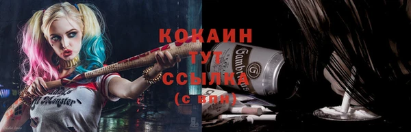 apvp Краснослободск