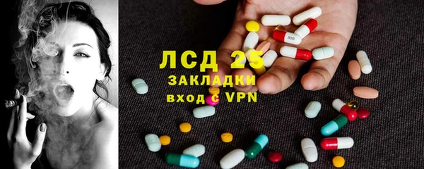 индика Красноперекопск