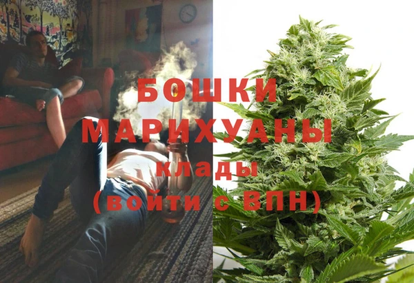 индика Красноперекопск