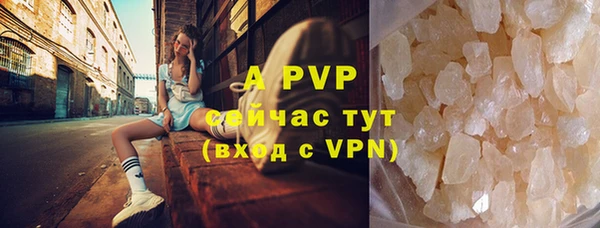 индика Красноперекопск